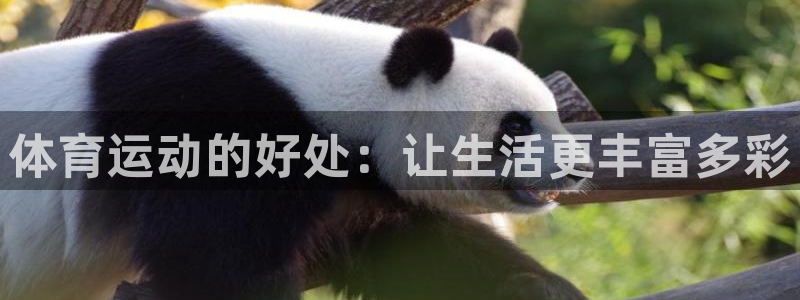 捷报足球手机版旧版本：体育运动的好处：让生活更丰富多彩